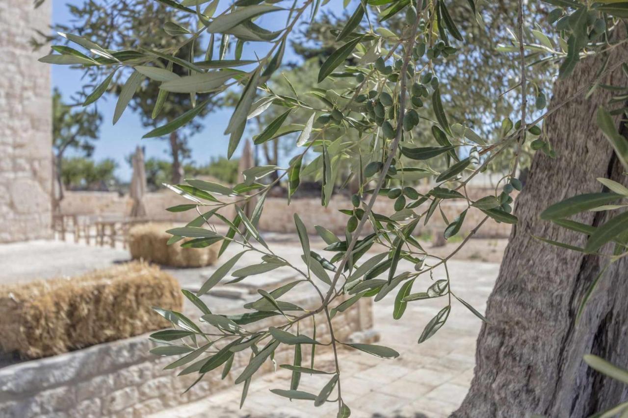 Masseria Fanizzi Конверсано Экстерьер фото